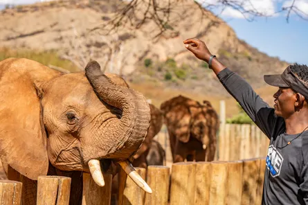 Travel Safety Tips for Visiting Kenya